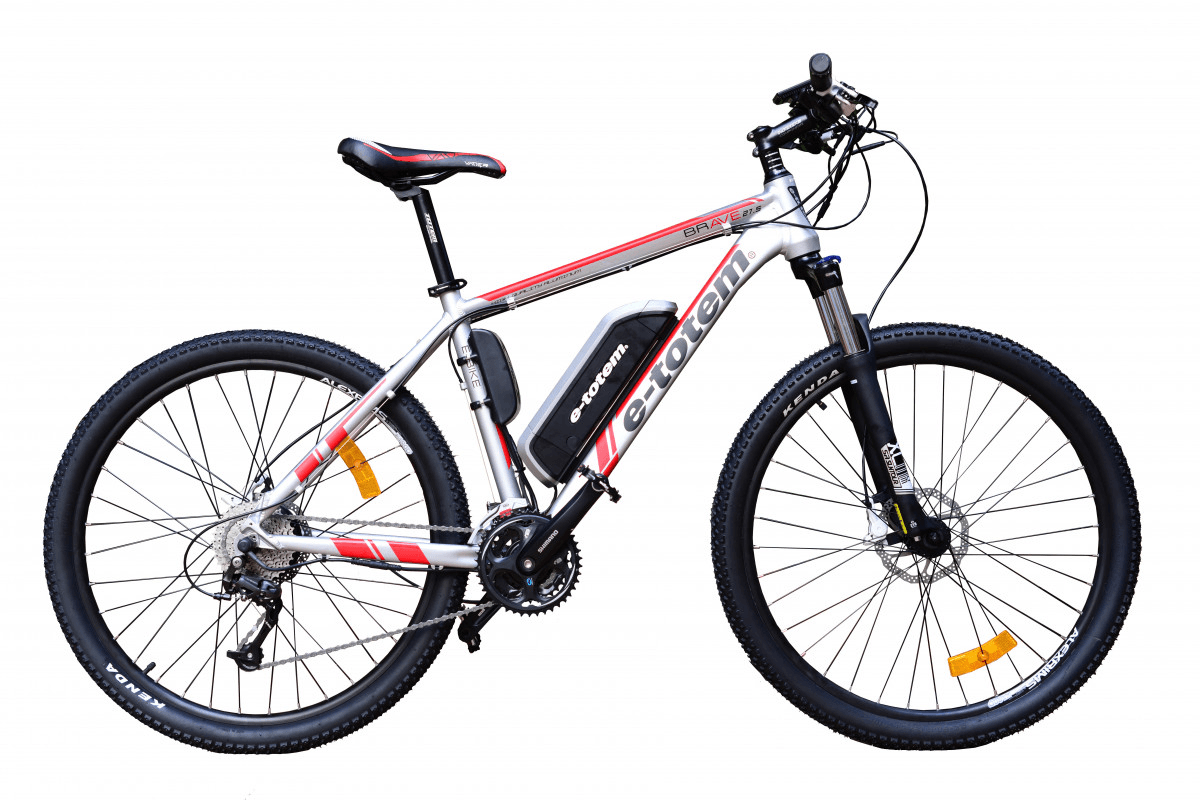 E-totem 19' mountain